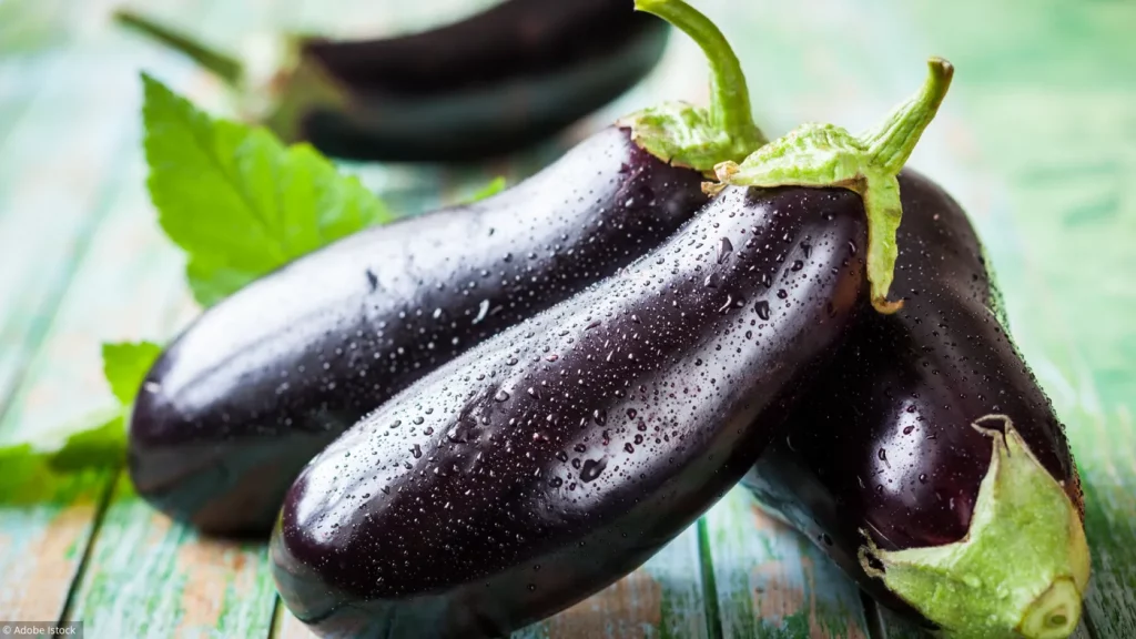 aubergines fraiches