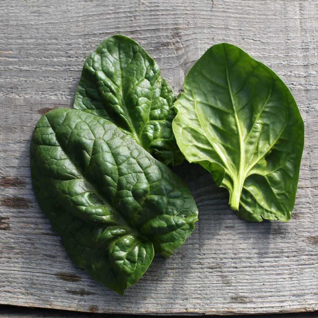 feuilles épinards