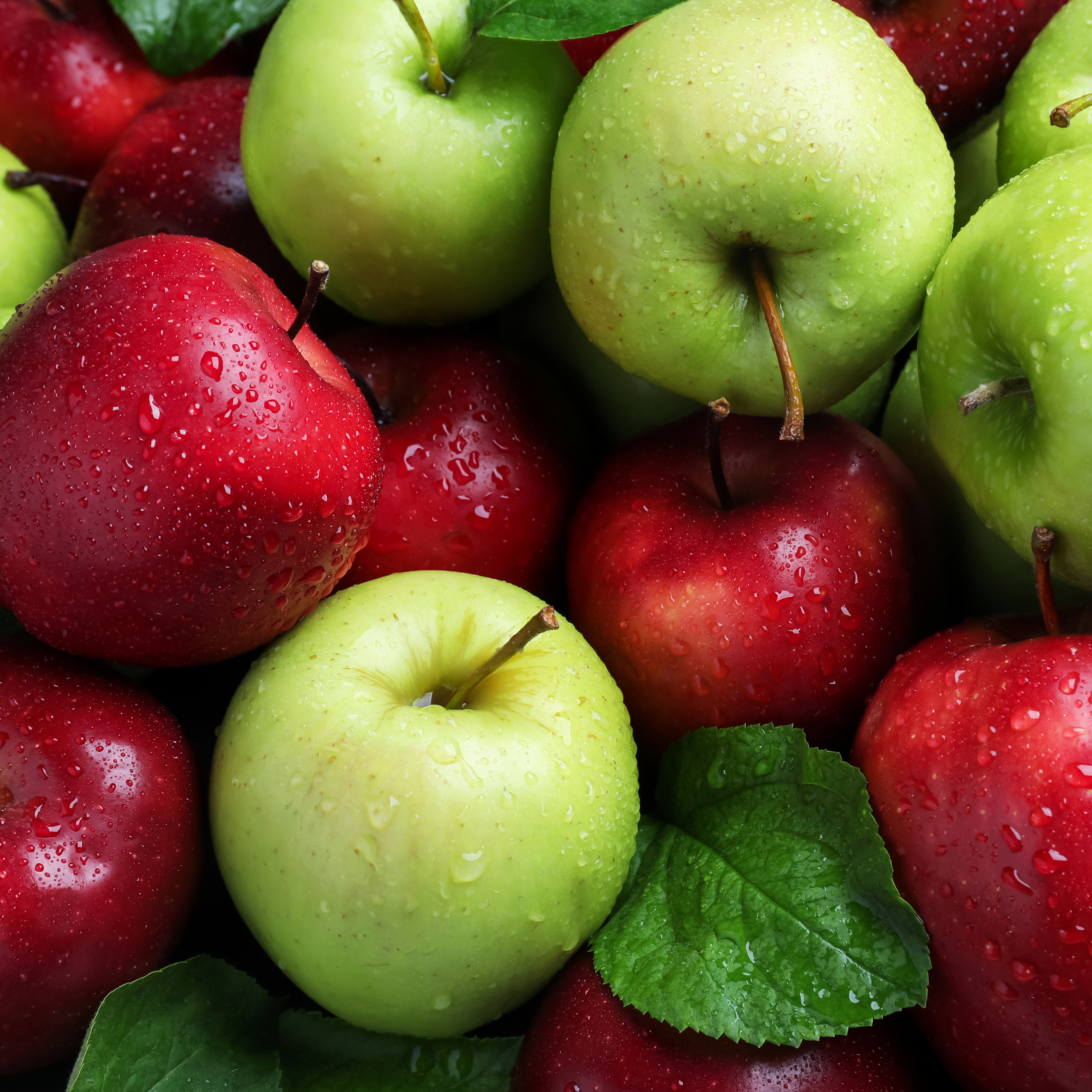 Pommes fraîches rouges et vertes, croquantes et brillantes