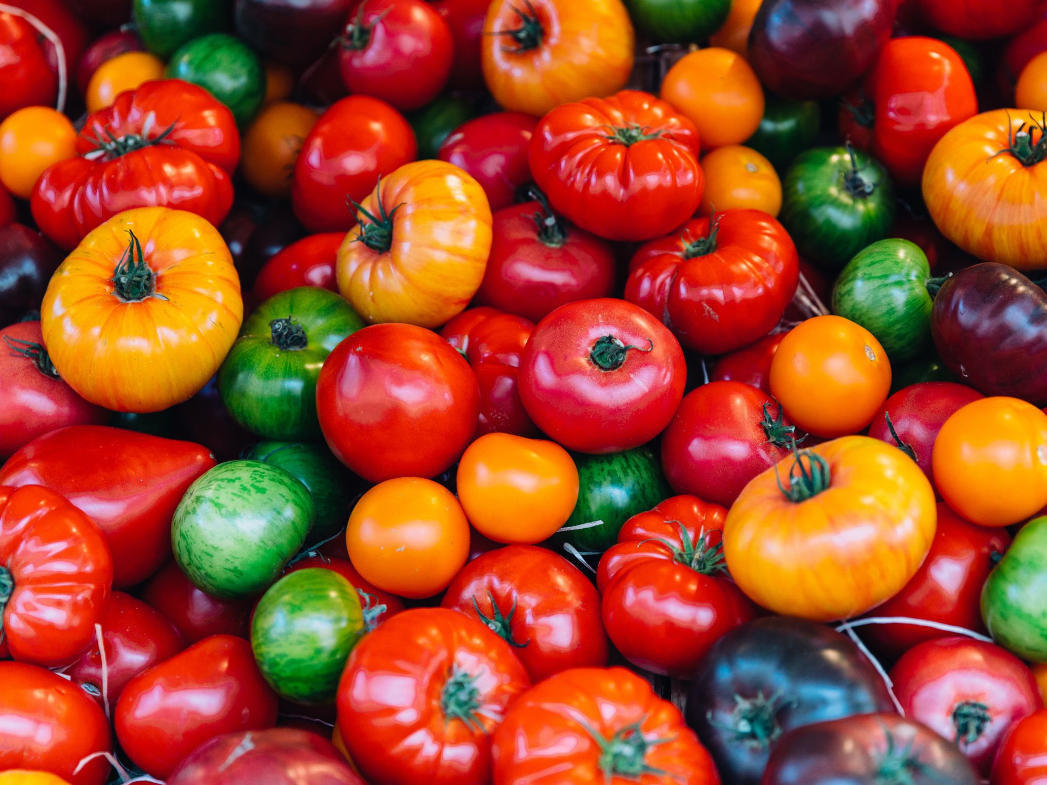tomates fraiches, juteuses et colorées